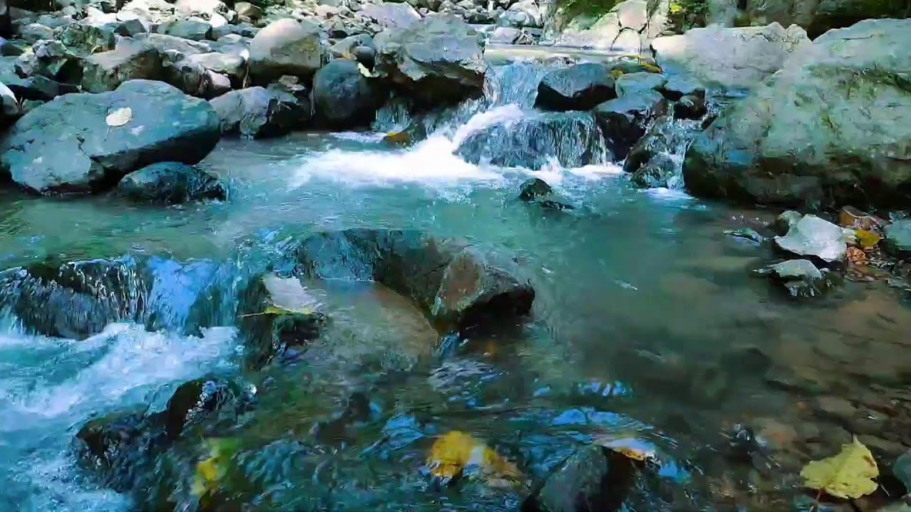 Relaxing River Sounds - Peaceful Forest River - 11 Hours Long - HD 1080p - Nature Video