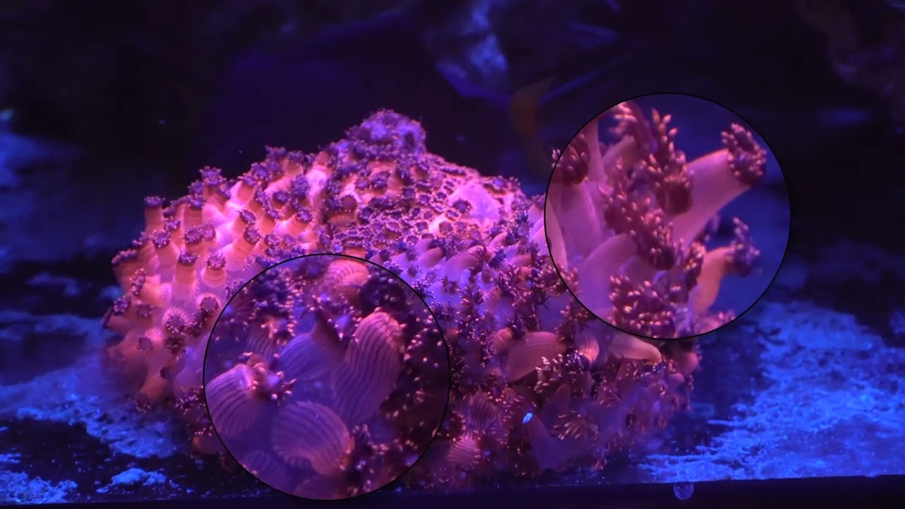 8. Feb 4th 2022 Tank Update