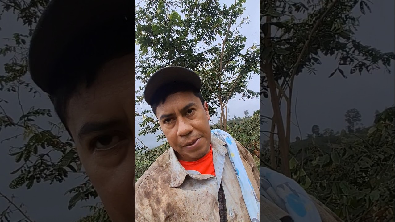 cómo mejorar un terreno ácido natural mente 