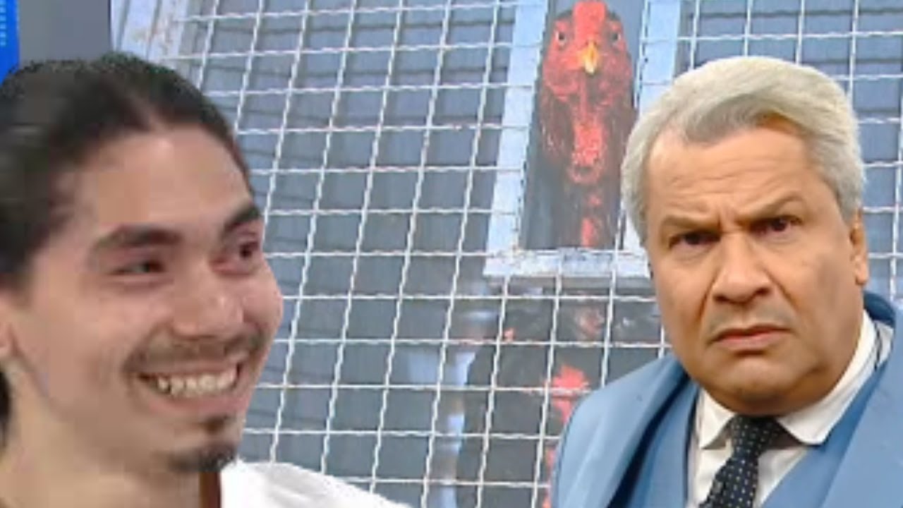 A POL&Ecirc;MICA DOS GALOS DO SAMURAI