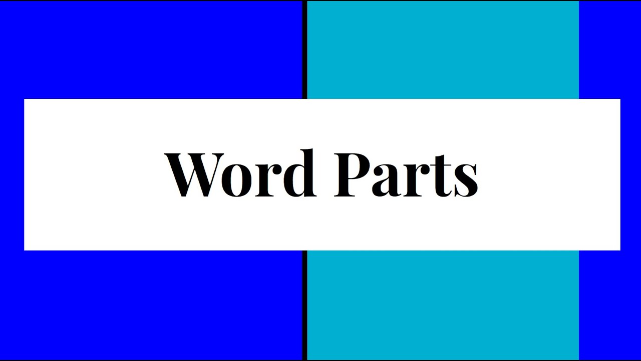 Word Parts: Roots, Prefixes, and Suffixes