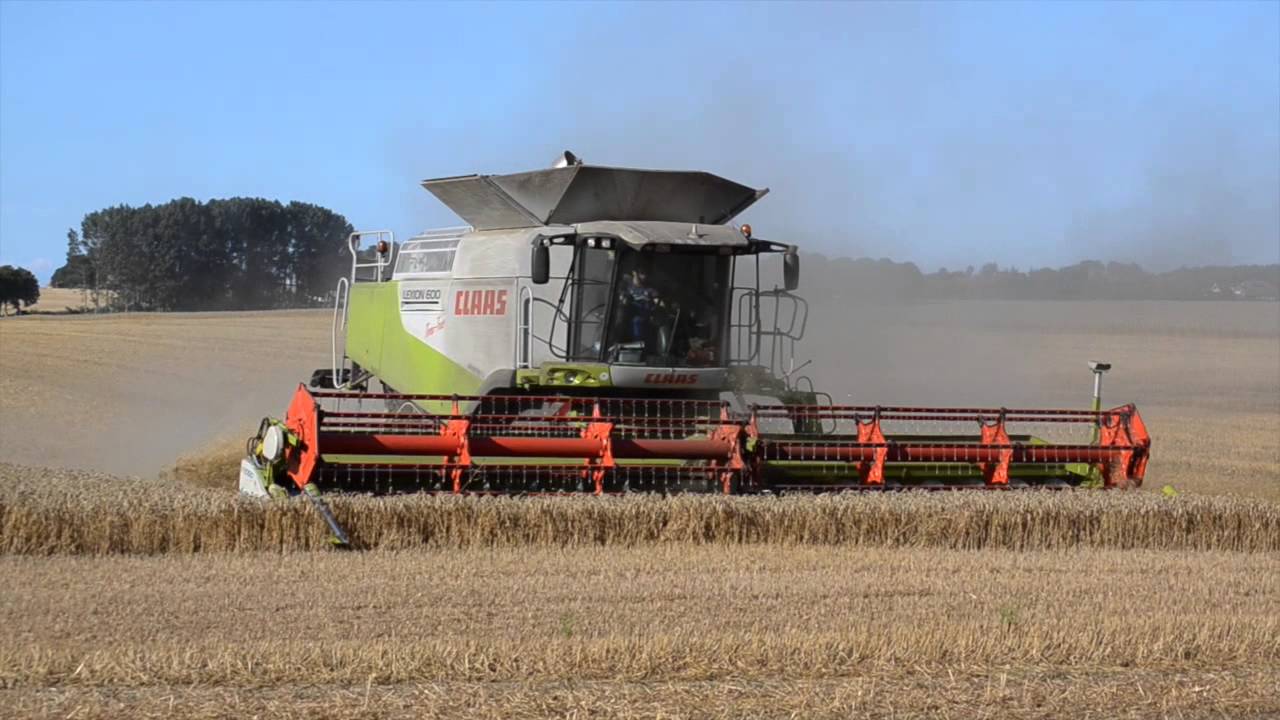 Weizen dreschen 2014 mit Claas Lexion 600 tt +Lexion 580tt und Case IH Axial Flow 8010