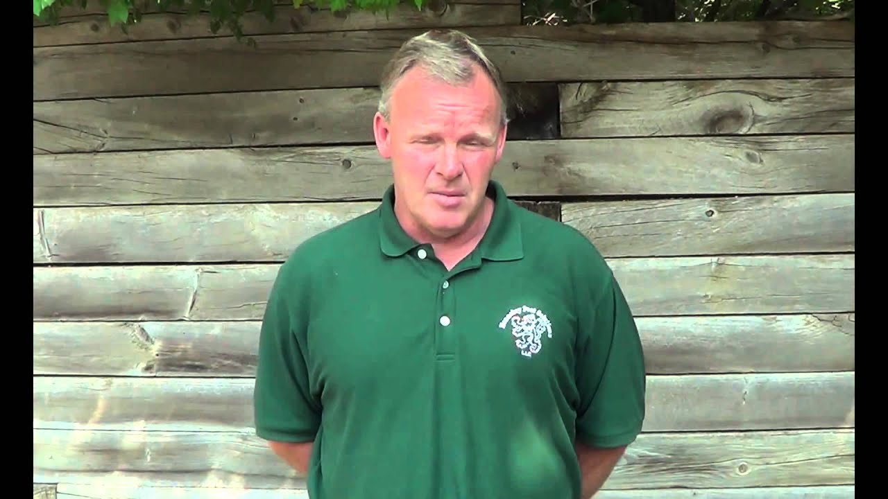 Morristown NJ Winged Insect Exterminator (908)578-0726