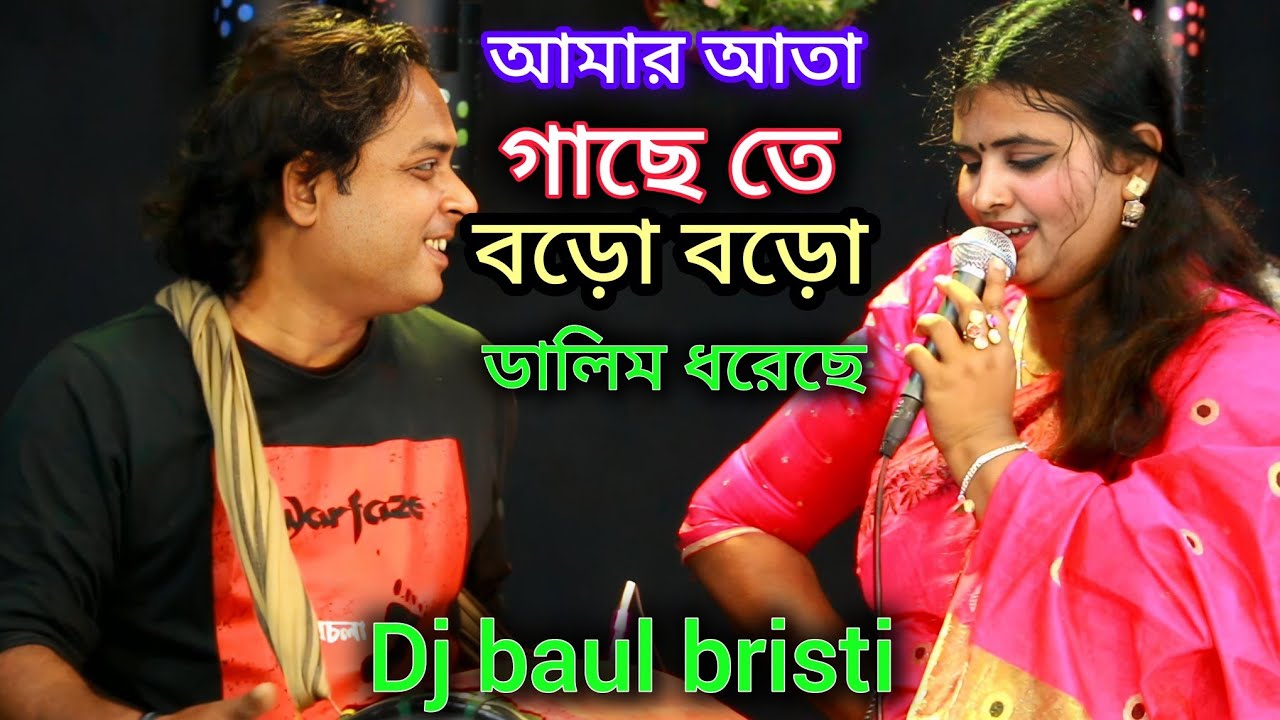 আমার আতা গাছেতে তোতা পাখি বাসা বেদেছে //কণ্ঠ শিল্পী ডিজে মেঘলা //Dj Baul Bristi 