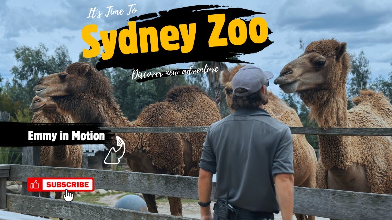 A Wild Adventure at Sydney Zoo 🦁✨ | Fun Day Out with My Partner
