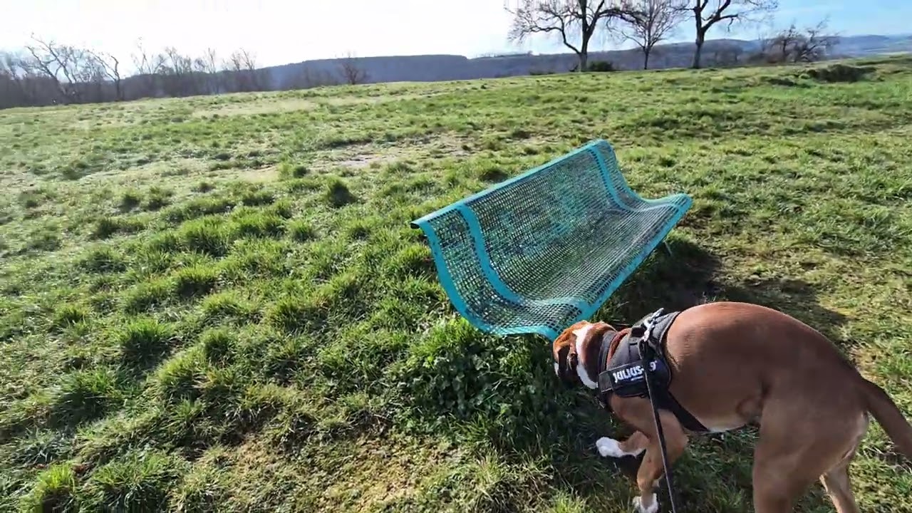 Achille au Mont Auxois à Alésia (21)