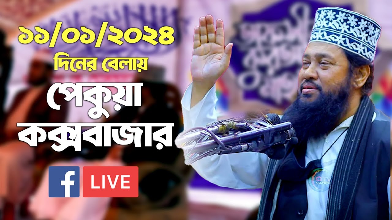 🔴Live🔴 পেকুয়া কক্সবাজার থেকে সরাসরি আলোচনা করছেন আল্লামা তারেক মনোয়ার সাহেব ১১/০১/২০২৪