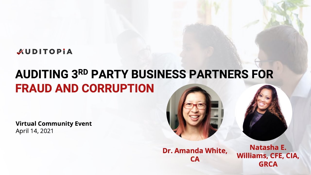Auditing Third Party Business Partners For Fraud And Corruption