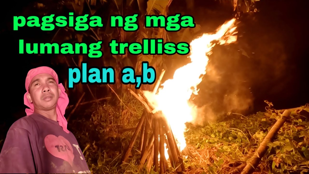 Bawas insekto para sa mga pananim