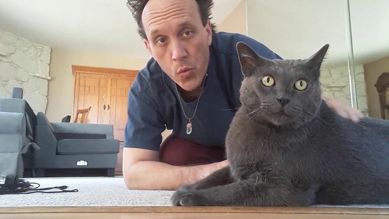 Whistling In Quarantine With My Cat