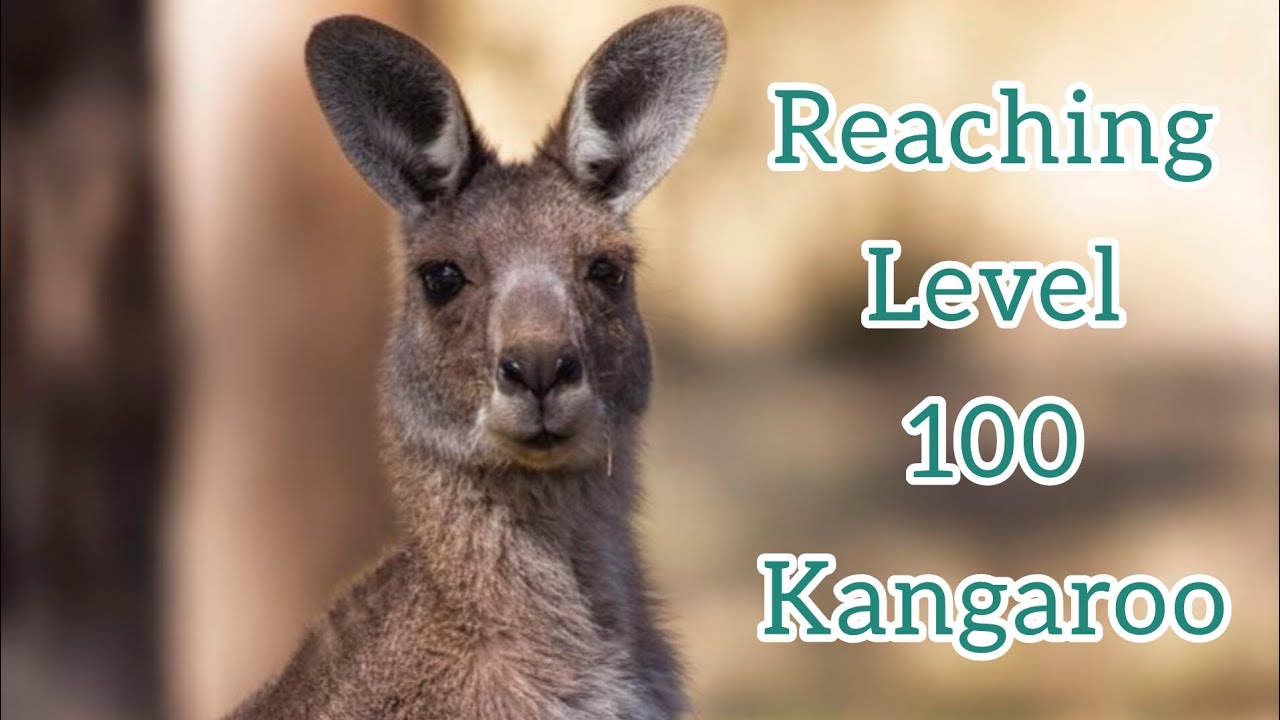 Reaching Level 100 Kangaroo | WildCraft