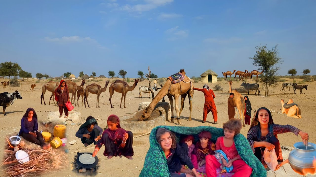 Desert village life of Camel people in Hot Summer | stunning village life 