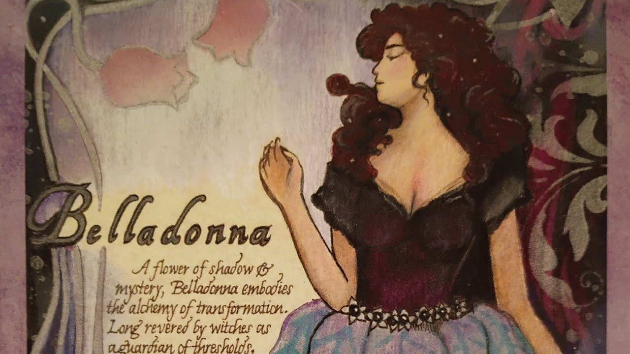 The Witches Bounty box November 2025