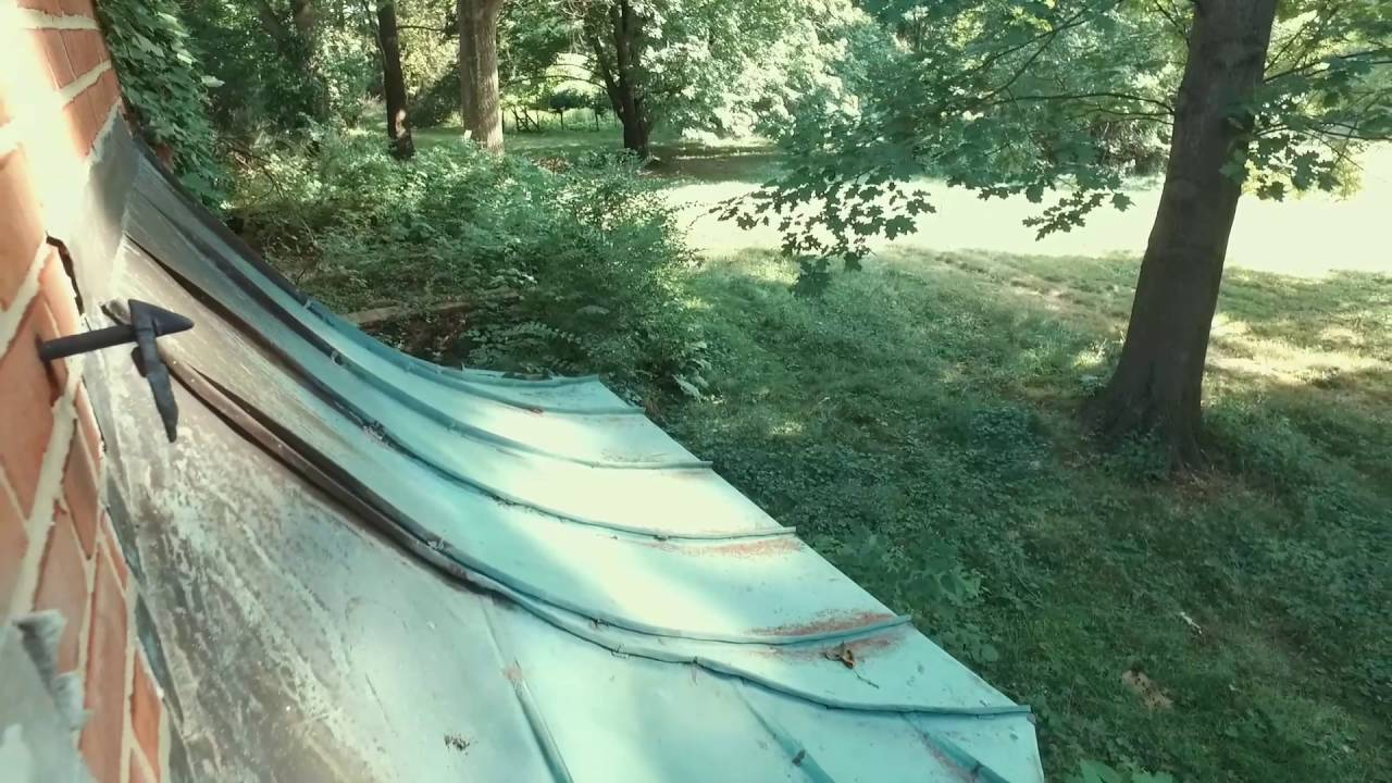 Creepy abandoned house with toxic algae pool and eerie dead animal in attic