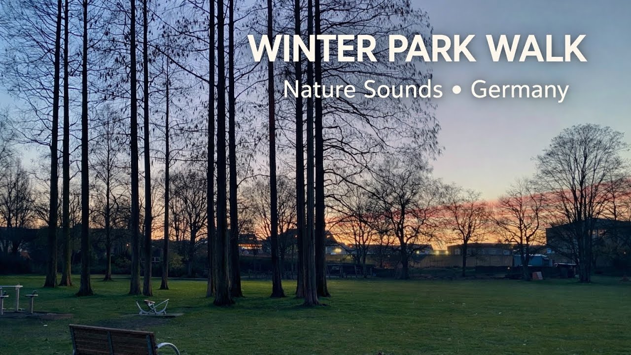 6PM Winter Evening Walk in a German Park | Pure Nature Sounds (No Music)