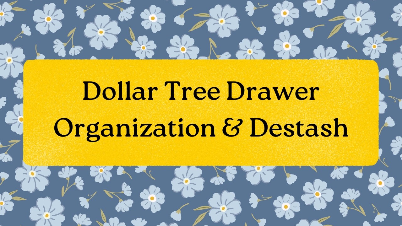 Dollar Tree Drawer Organization & Destash