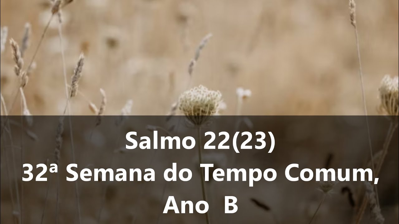 Salmo 22(23) 32ª Semana do Tempo Comum, Ano B - 13/11/2024