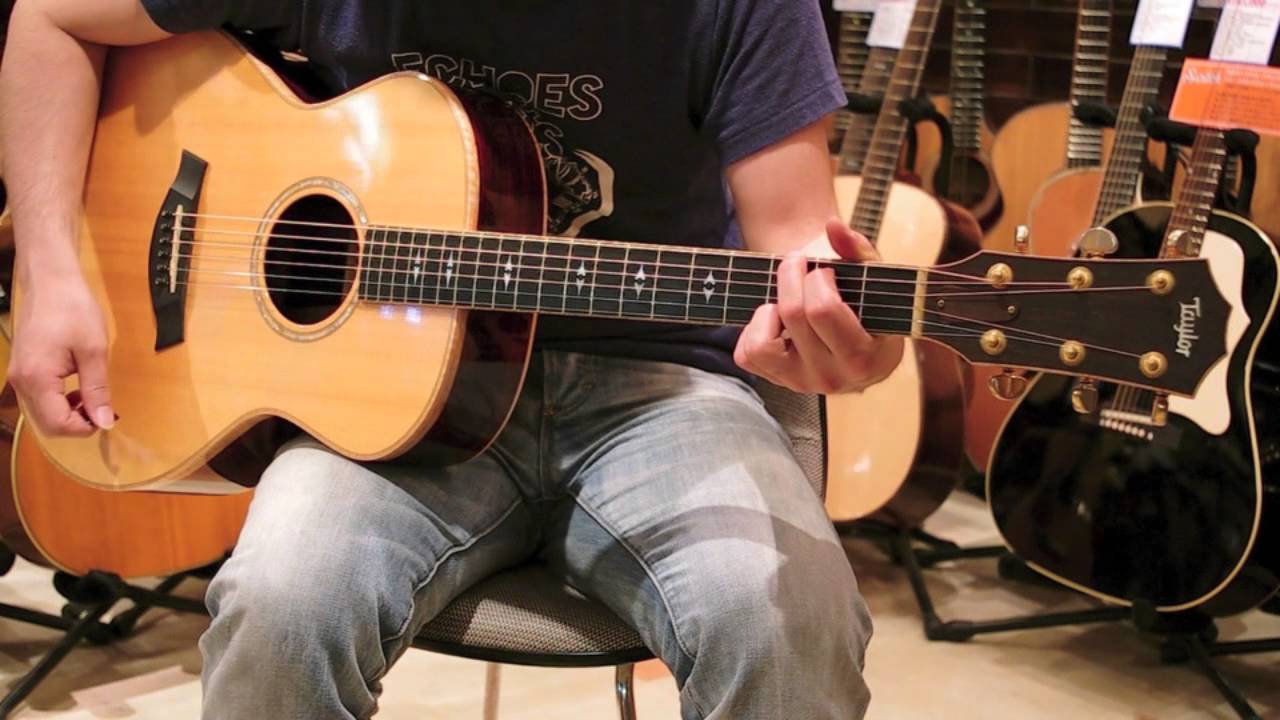 Taylor 814 Ltd Cocobolo Demo - Dolphin Guitars