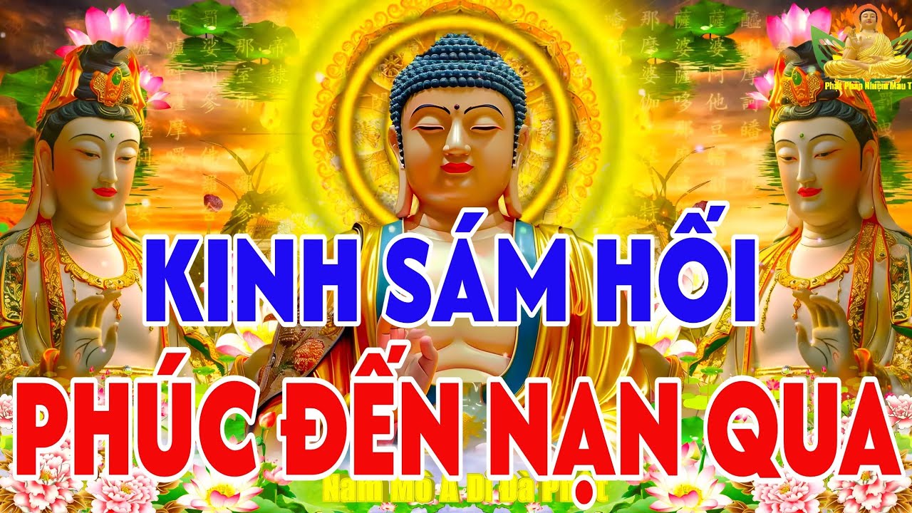Tối 12 Tháng 8 ÂL Phật Tử Nghe Thầy Tụng Kinh Cầu An Sám Hối, Phúc Đến Nhà Nạn Ách Sẽ Qua !