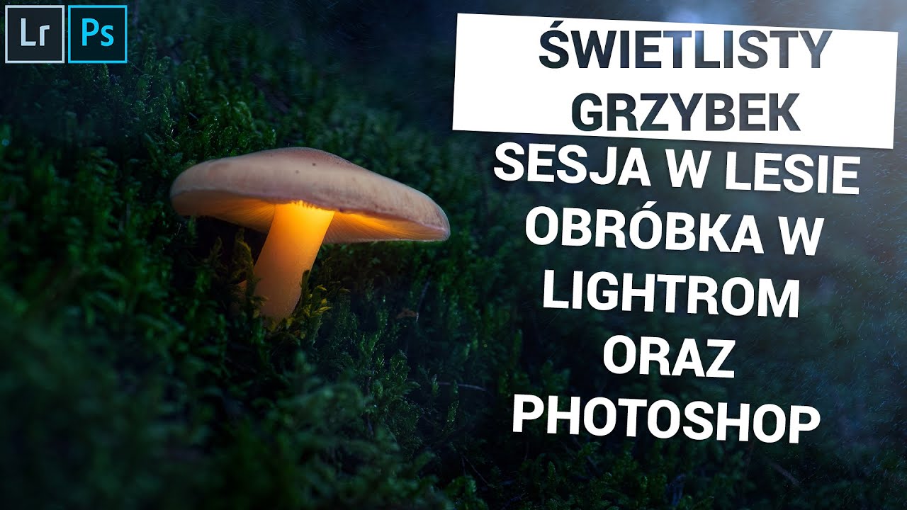 Obróbka zdjęcia w Adobe Lightroom i Photoshop / Świetlisty grzybek Nauka fotografii