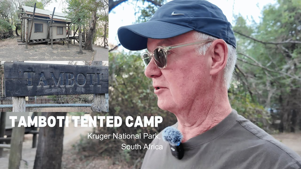 LUXURY SAFARI inside the Kruger park?: Inside Tamboti Tented Camp