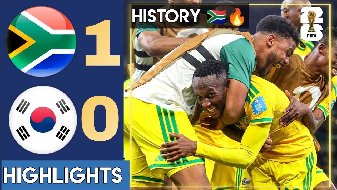 South Africa vs South Korea 1 0 Highlights & Goals