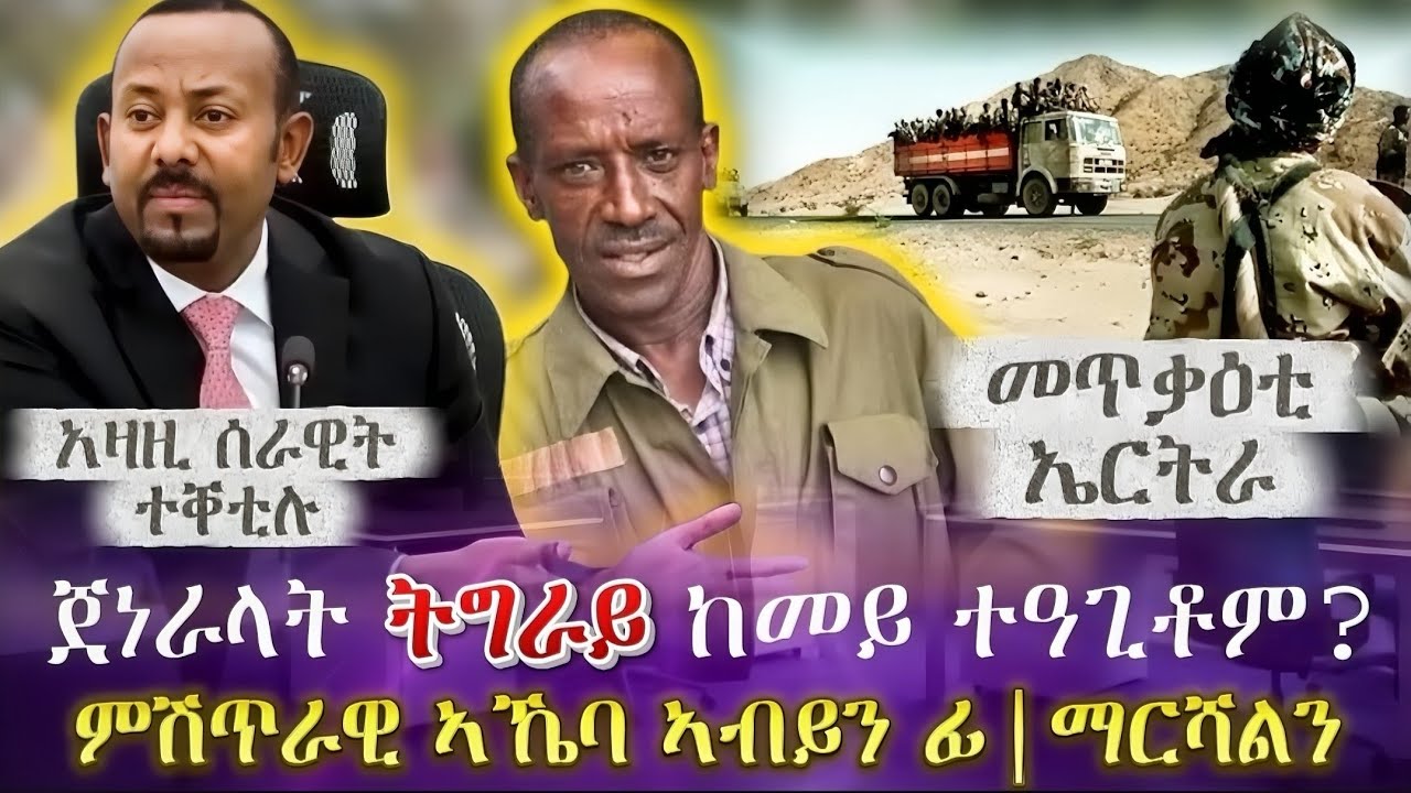 ጀነራላት ትግራይ ከመይ ተዓጊቶም? |ምሽጥራዊ ኣኼባ ኣብይን ፊ|ማርሻልን| መጥቃዕቲ ኤርትራ |አዛዚ ሰራዊት ተቐቲሉ | tigray news