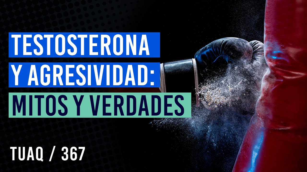 Testosterona y agresividad: Lo que necesitas saber