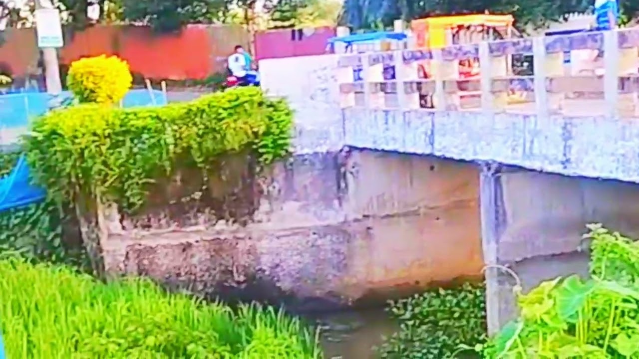 আমি পাপী গুনাগার বান্দা #viralvideo #viral #comedy #funny #song 