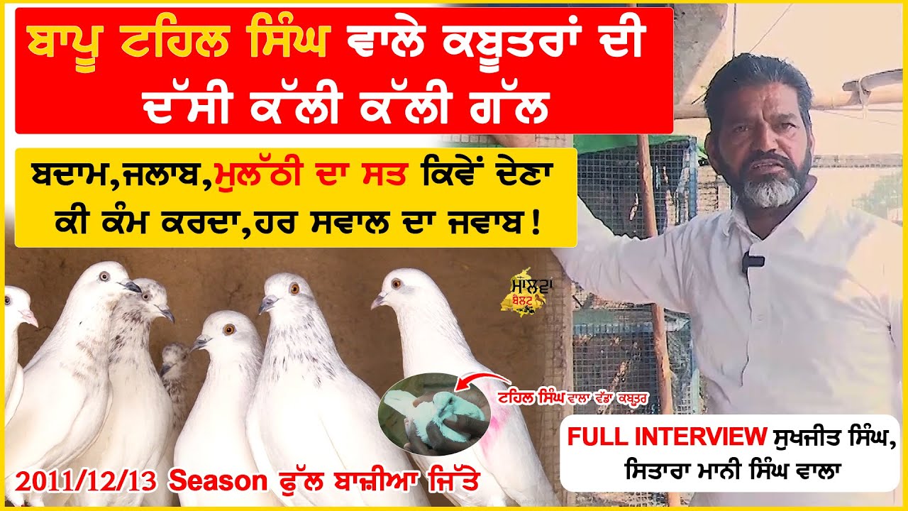 Sitara Mani Singh Wala Full Interview ਟਹਿਲ ਸਿੰਘ ਵਾਲੇ ਕਬੂਤਰਾ ਦੀ ਦੱਸੀ ਕੱਲੀ ਕੱਲੀ ਗੱਲ ਹਰ ਸਵਾਲ ਦਾ ਜਵਾਬ |