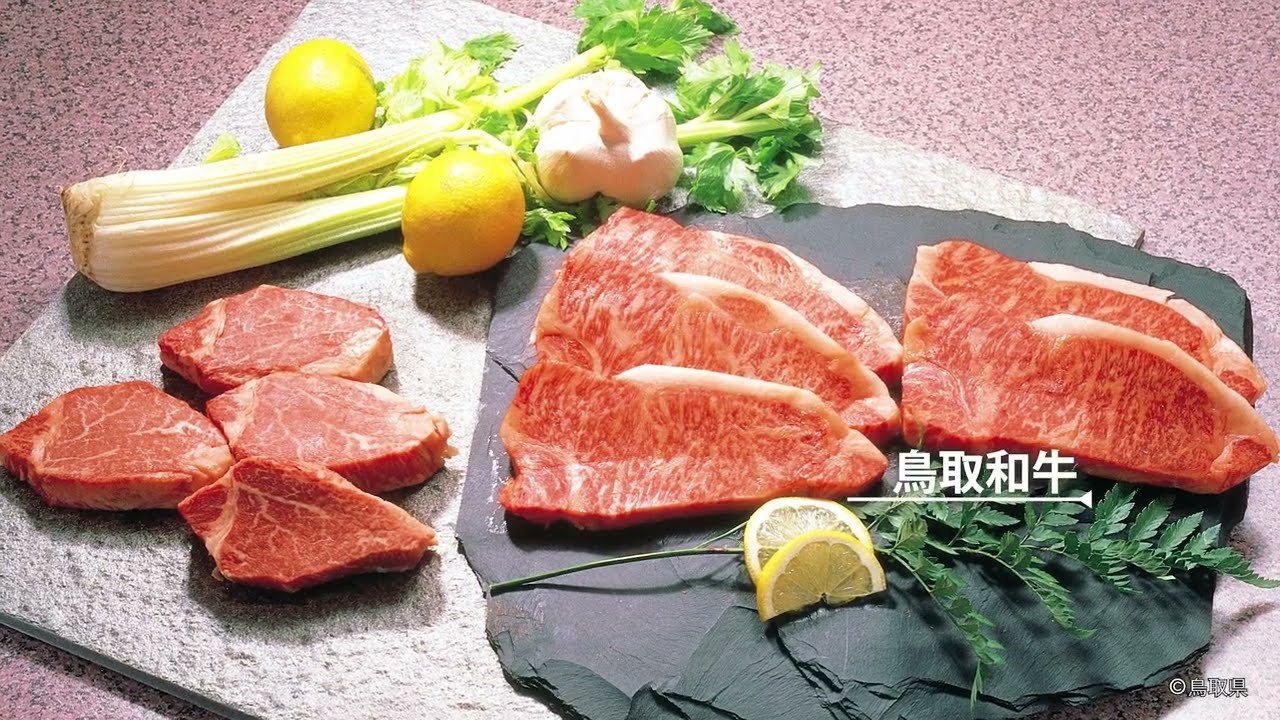 とっとりの魅力紹介映像