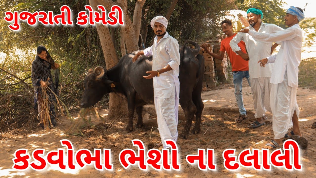 કડવોભા ભેંસોના દલાલી||kadvobha Bheshona Dalali||કડવાભા ના કોમેડી વિડિયો||ગુજરાતી કોમેડી વિડિયો