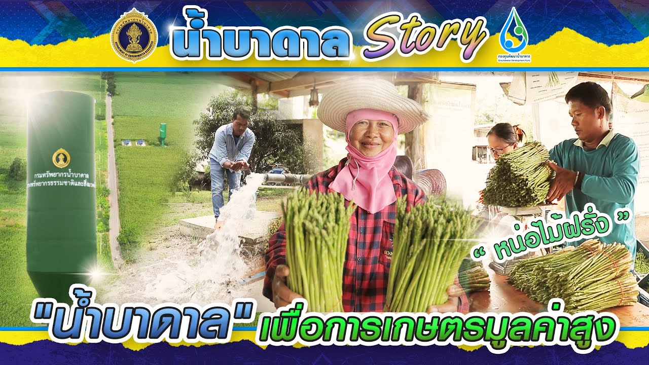 น้ำบาดาล เพื่อการเกษตรมูลค่าสูง