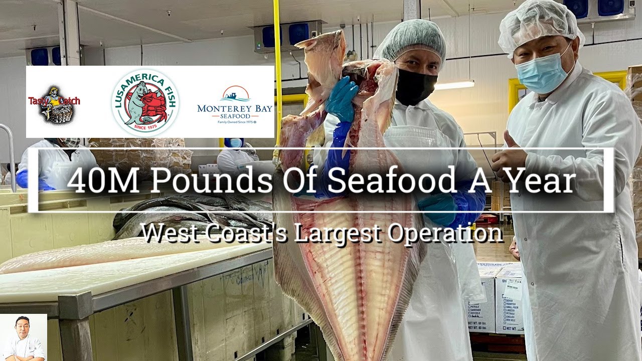 40M Pounds Of Seafood A Year - One Of The West Coast's Largest! Lusamerica Food