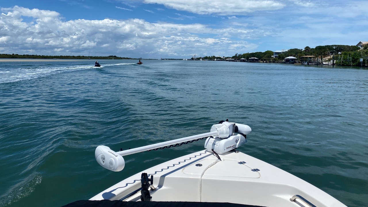 Saving a Bird at Ponce Inlet, Florida 1.30.2026