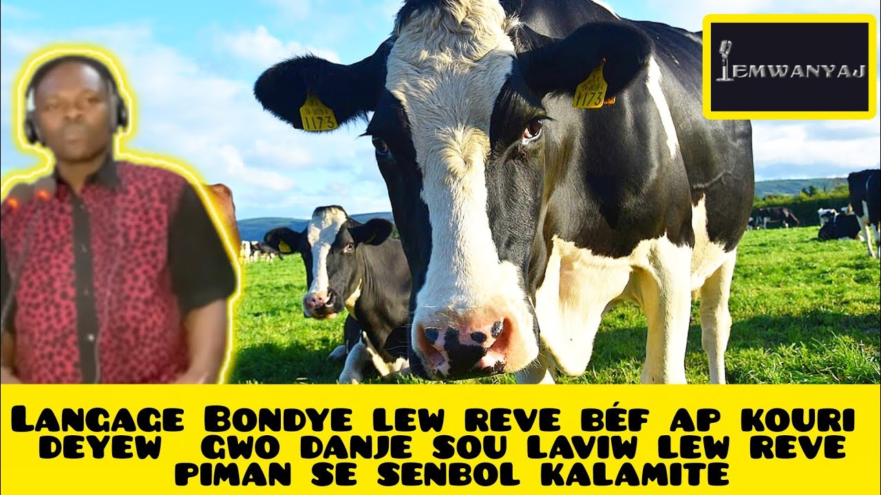 Langage Bondye lew reve béf ap kouri deyew  gwo danje sou laviw lew reve piman se senbol kalamite
