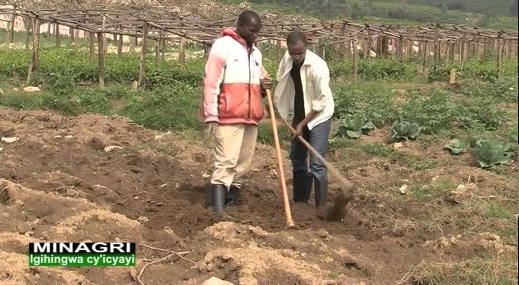 UBUHINZI BW'ICYAYI Ubuhinzi mu Rwanda-Rwanda agriculture