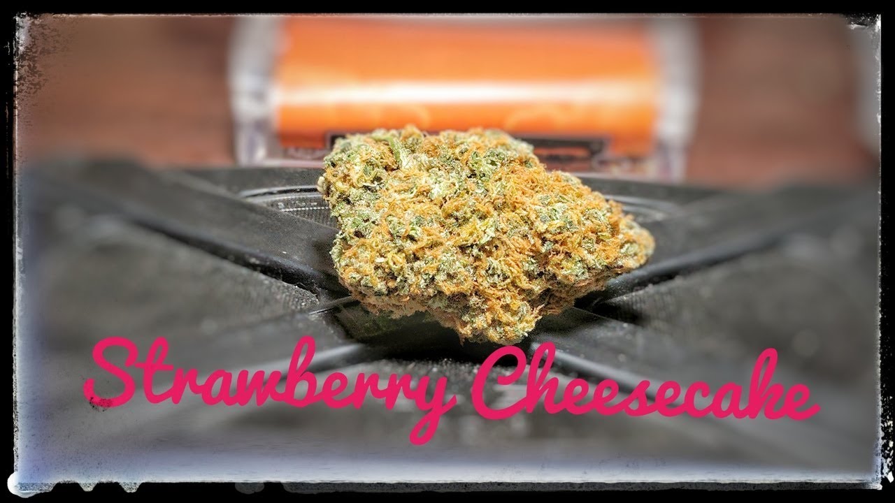 Strain Review - Stc - Strawberry Cheesecake from MMJ THC