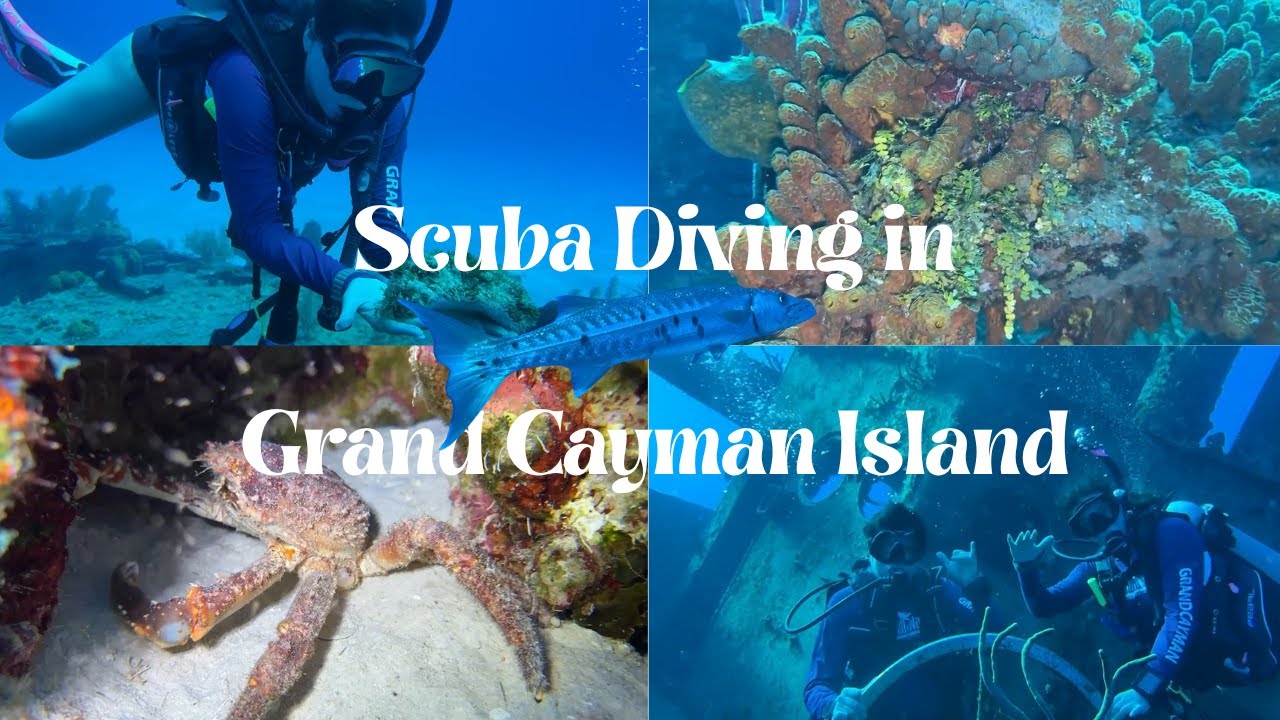Our Diving Adventure in Grand Cayman Hosted by Pirate Divers