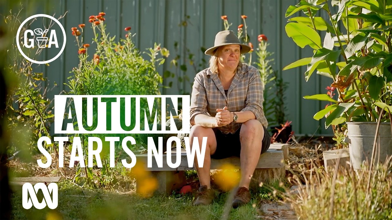 Autumn Jobs to Start Now | Gardening 101 | Gardening Australia