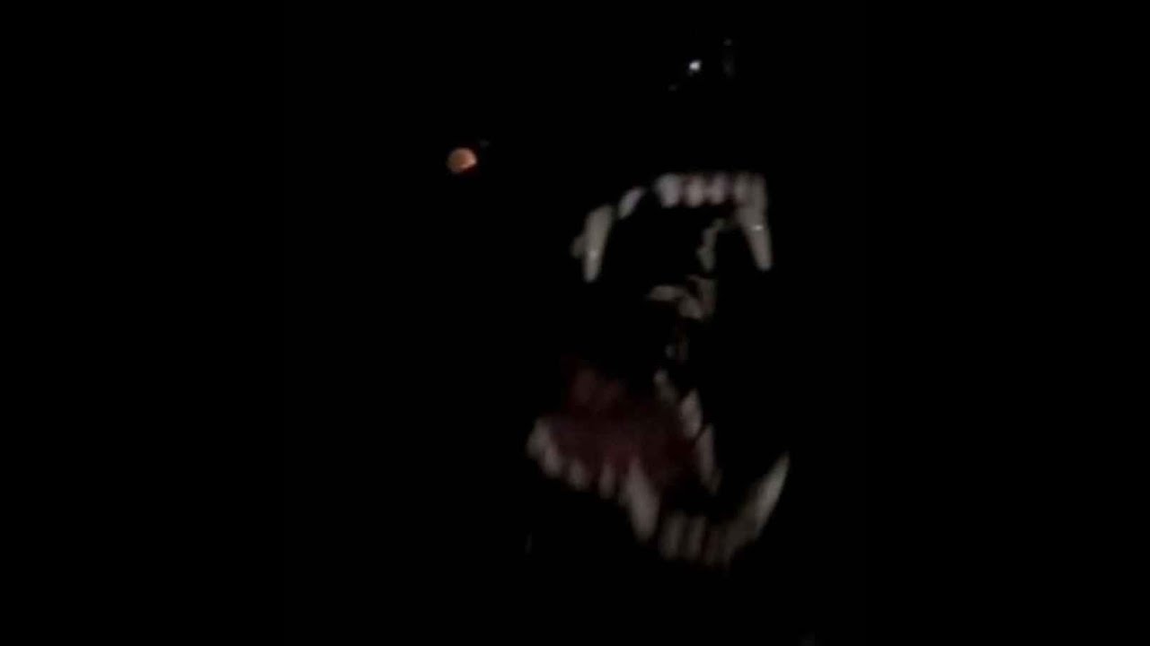 Last Day As A Man (First Night As A Beast)
