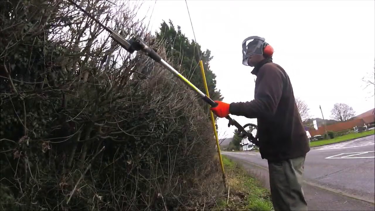 Big Hedge Cutting