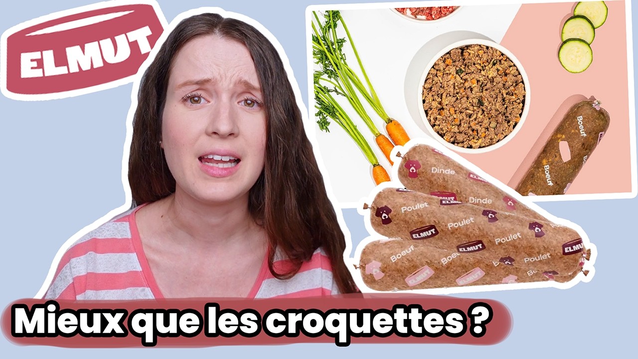 Elmut : Une alternative aux croquettes pour les chats ? | Analyse et Décryptage Marketing