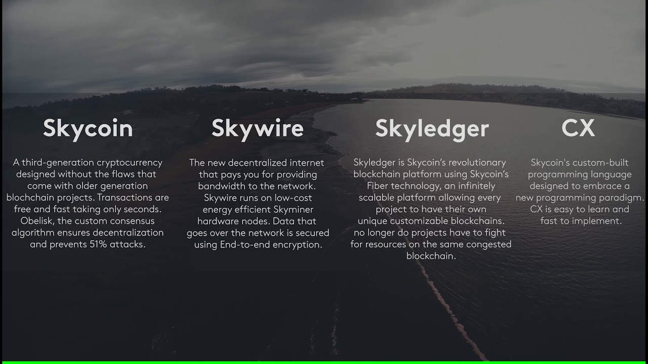 Skycoin: The Future of Blockchain