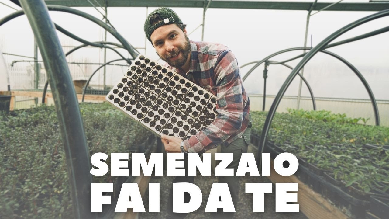 SEMENZAIO FAI DA TE: Piantine Migliori, Prezzo Dimezzato