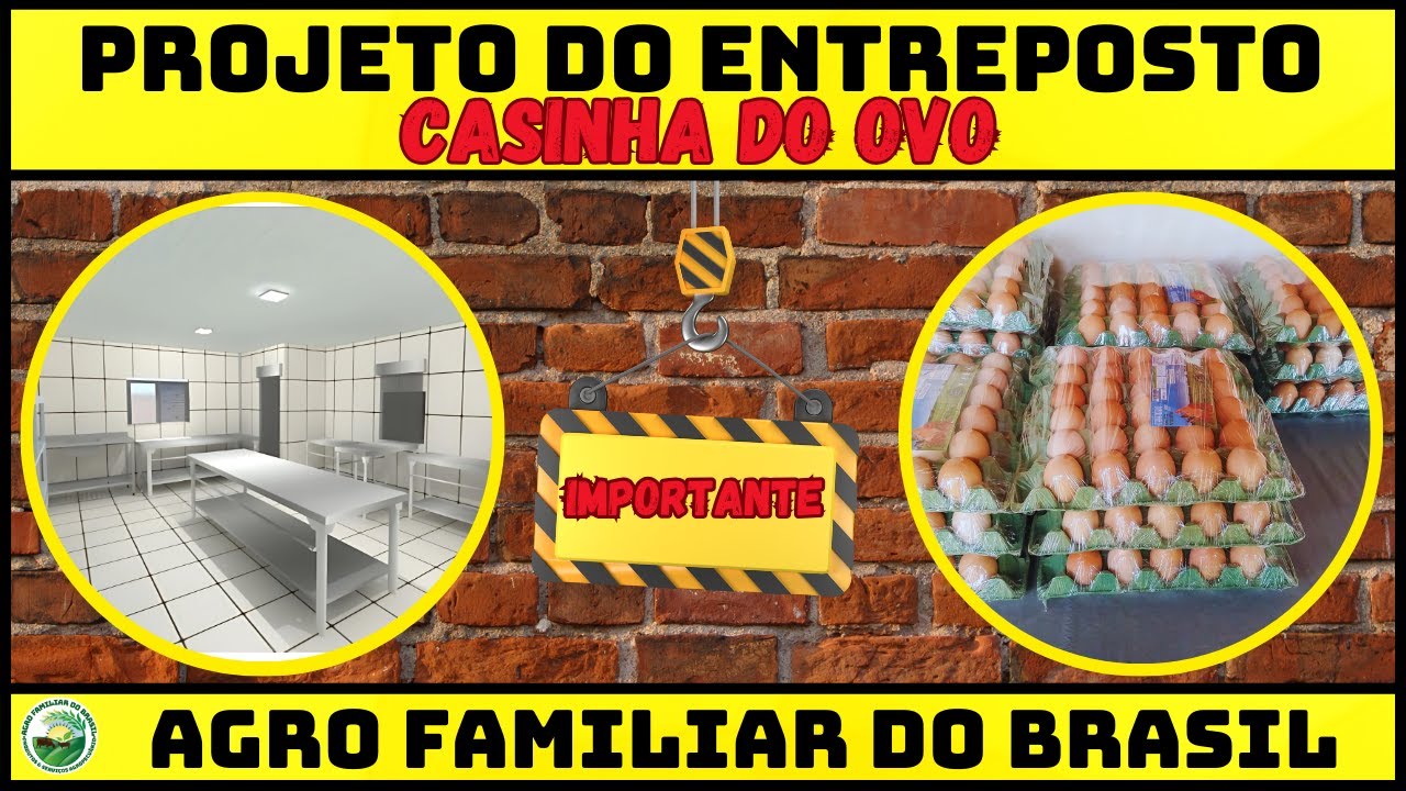 ENTREPOSTO PARA OVO CAIPIRA: PROJETO GRANJA ESPERANÇA 4 MIL GALINHA CAIPIRA (EPISÓDIO 8)