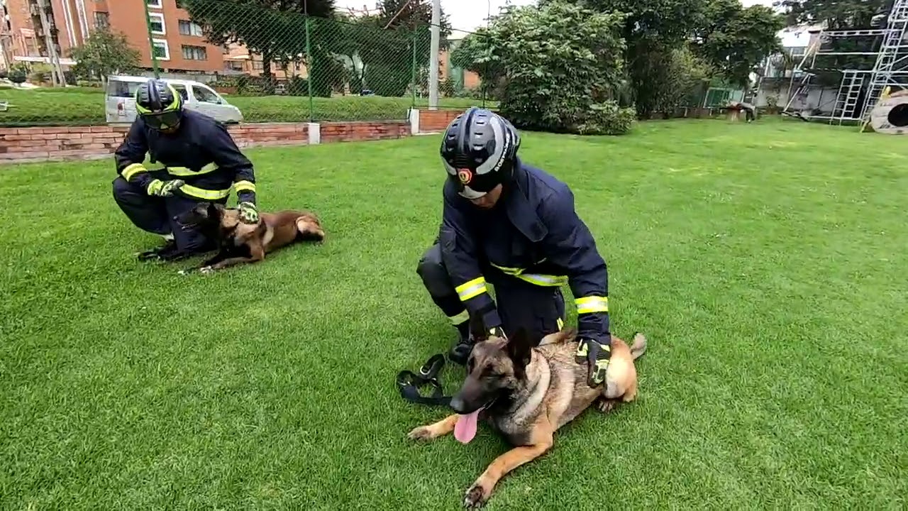 GRUPO BRAE DE BOMBEROS OFICIALES DE BOGOTÁ