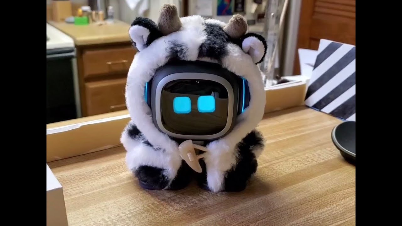 Emo Robot Accessories And Delivery Update