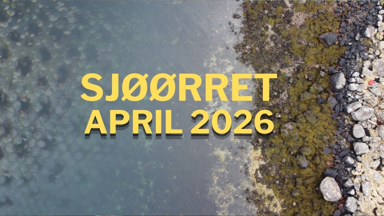 Sj&oslash;&oslash;rret Fluefiske April 2026 - Vestlandet