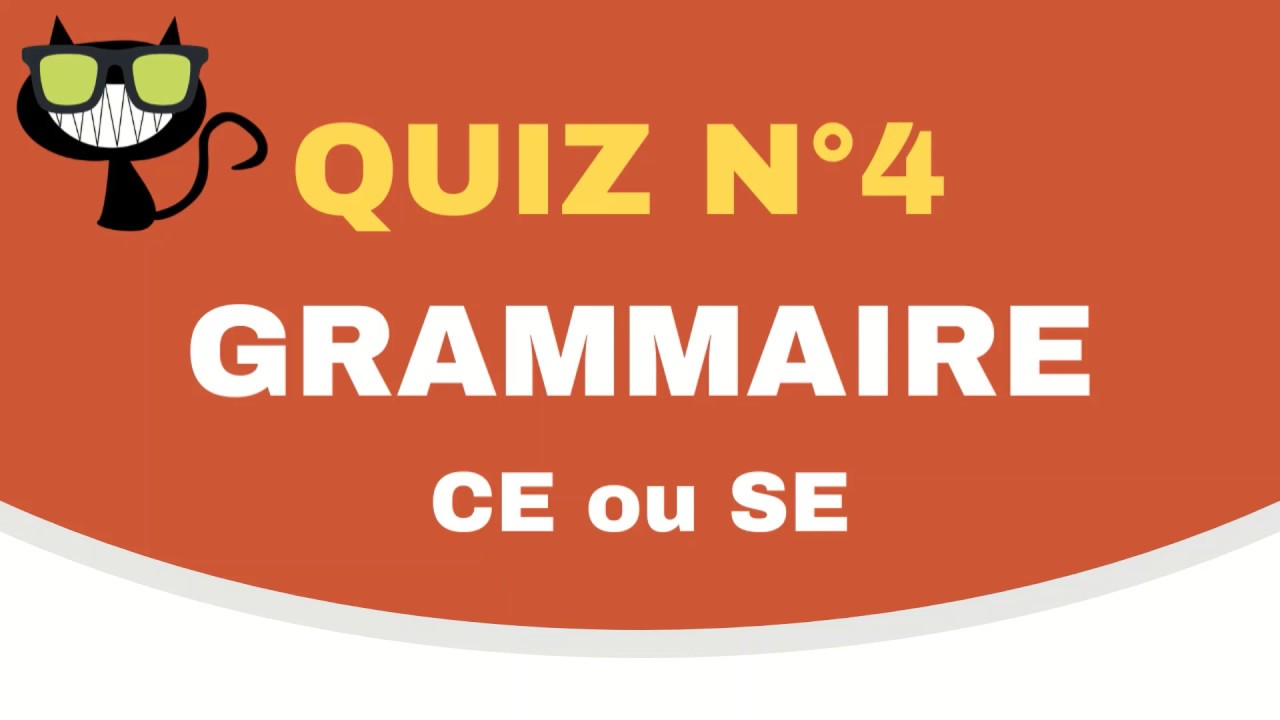 quiz # 4 grammaire ce / se